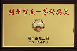 2016年荊州市五一勞動獎章